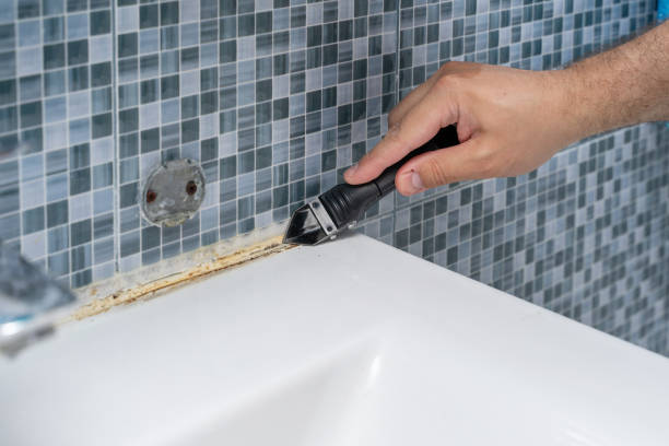 Best Toxic Mold Removal  in Ovilla, TX