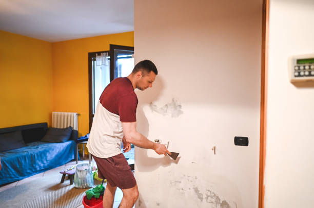 Best Mold Removal Company Near Me  in Ovilla, TX